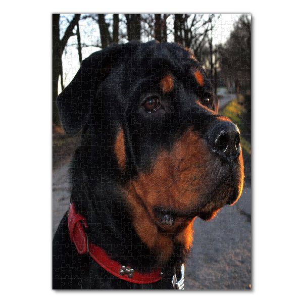 Produktbild: Lais Puzzle Rottweiler 500 Teile