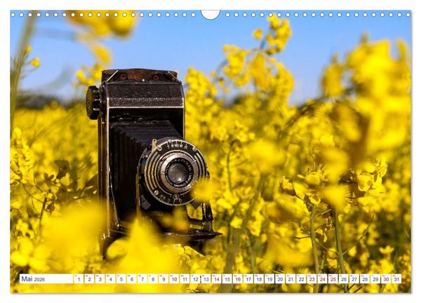 Produktbild: Alte Fotoapparate, Augenzeugen der Zeit (Wandkalender 2026 DIN A3 quer), CALVENDO Monatskalender