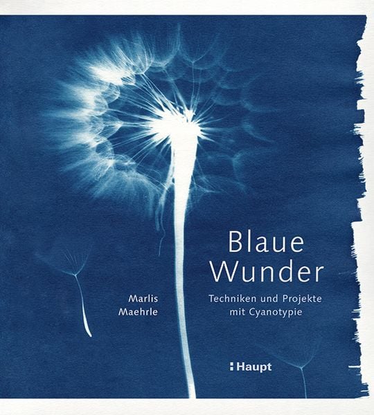 Produktbild: Blaue Wunder - Techniken und Projekte mit Cyanotypie