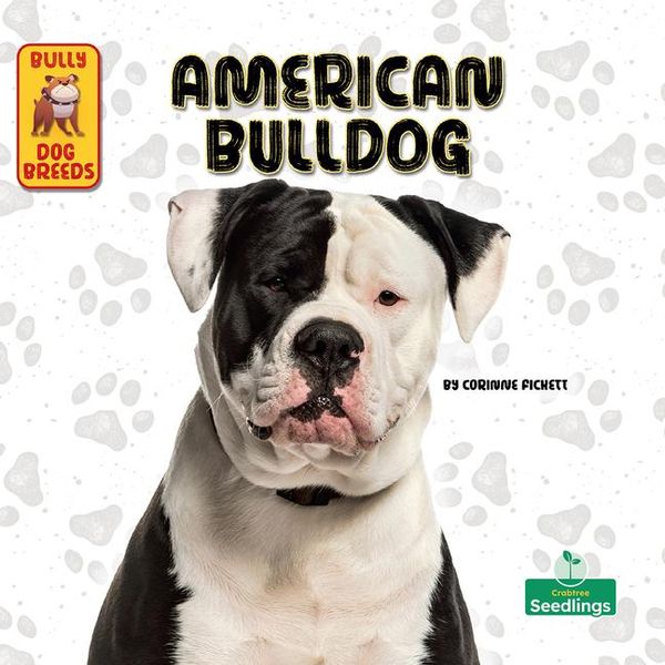 Produktbild: American Bulldog