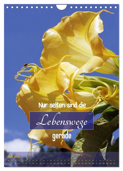 Produktbild: Lebensfreude in harten Zeiten (Wandkalender 2026 DIN A4 hoch), CALVENDO Monatskalender