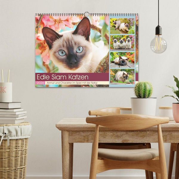 Produktbild: Edle Siamkatzen. Anmut und Charakter im Spiel mit der Natur (Wandkalender 2026 DIN A3 quer), CALVENDO Monatskalender