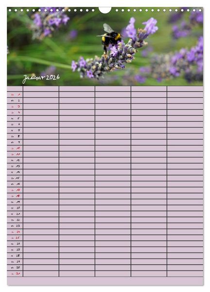 Produktbild: Naturzauber Lavendel - Familienplaner (Wandkalender 2026 DIN A3 hoch), CALVENDO Monatskalender
