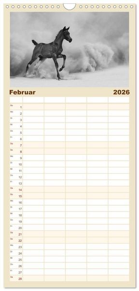 Produktbild: Familienplaner 2026 - Arabische Pferde mit 5 Spalten (Wandkalender, 21 x 45 cm) CALVENDO