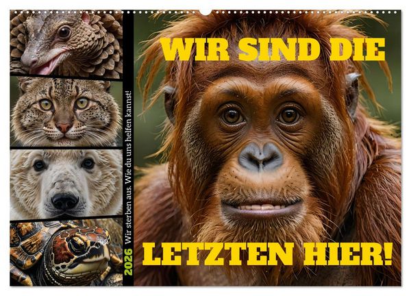 Produktbild: Wir sind die Letzten hier! Wir sterben aus. Wie du uns helfen kannst! (Wandkalender 2026 DIN A2 quer), CALVENDO Monatskalender