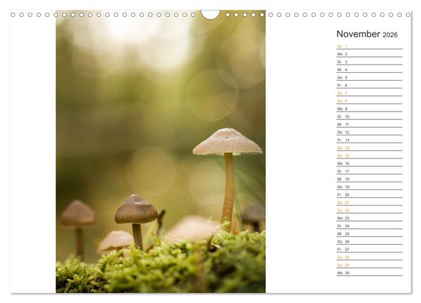 Produktbild: Kleine Wunder vor der Haust&uuml;r (Wandkalender 2026 DIN A3 quer), CALVENDO Monatskalender