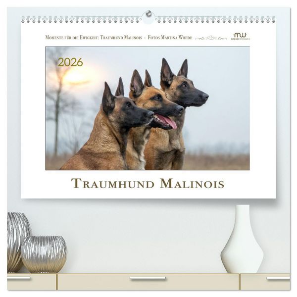 Traumhund Malinois (hochwertiger Premium Wandkalender 2026 DIN A2 quer), Kunstdruck in Hochglanz
