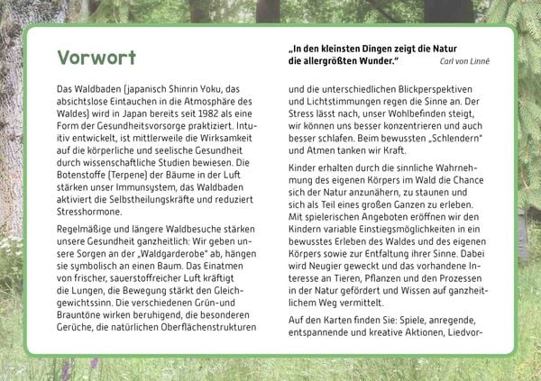 Produktbild: Raus in den Wald!