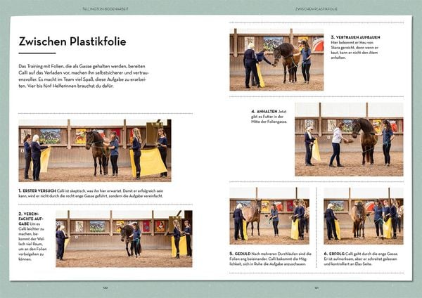 Produktbild: Vertrauen st&auml;rken mit Tellington Training