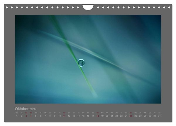 Produktbild: Kleine, gro&szlig;e Tropfenwelt (Wandkalender 2026 DIN A4 quer), CALVENDO Monatskalender