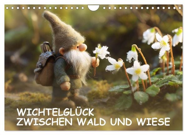 Produktbild: Wichtelgl&uuml;ck zwischen Wald und Wiese (Wandkalender 2027 DIN A4 quer), CALVENDO Monatskalender