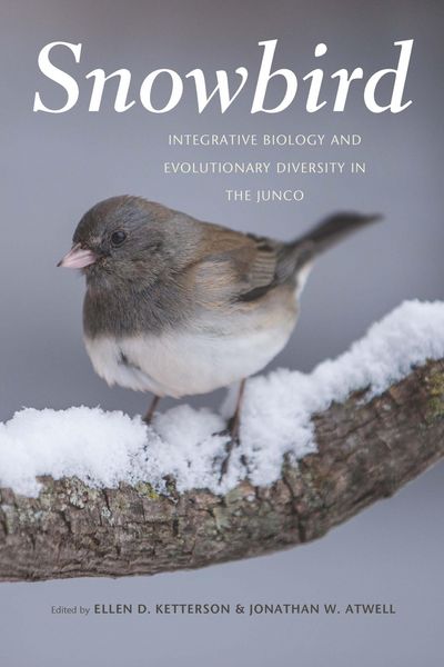 Produktbild: Snowbird