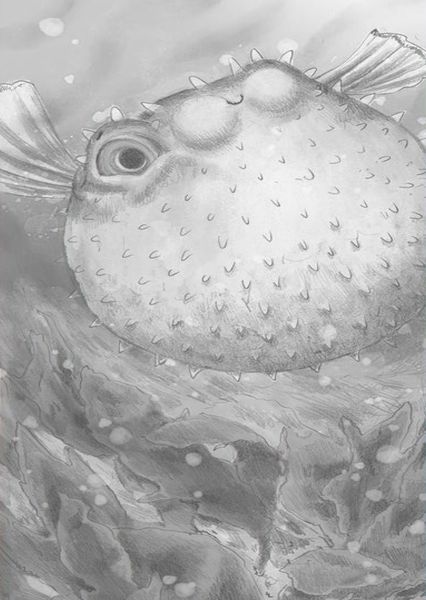 Produktbild: Wunderwelt der Tiere im Meer