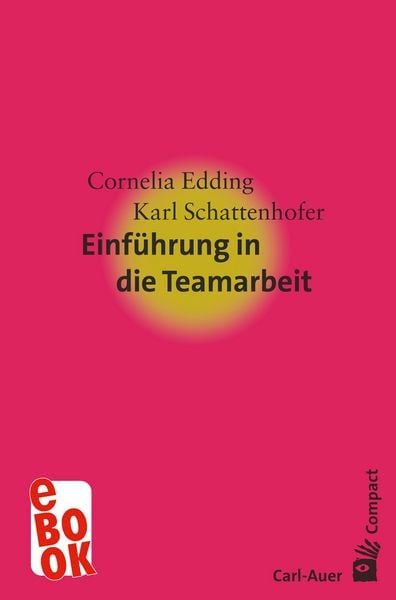 Produktbild: Einf&uuml;hrung in die Teamarbeit