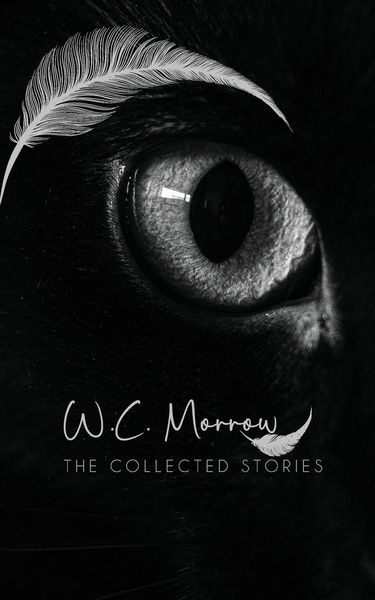 Produktbild: The Collected Stories
