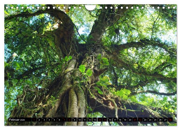 Produktbild: Bali. Im Reich der G&ouml;tter (Wandkalender 2026 DIN A4 quer), CALVENDO Monatskalender