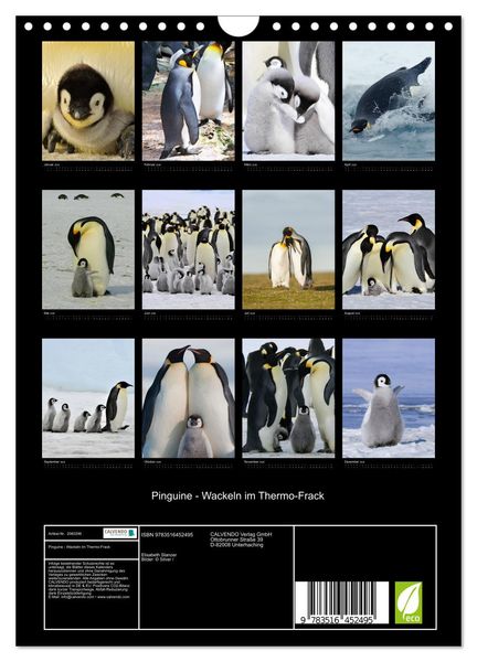 Produktbild: Pinguine - Wackeln im Thermo-Frack (Wandkalender 2026 DIN A4 hoch), CALVENDO Monatskalender