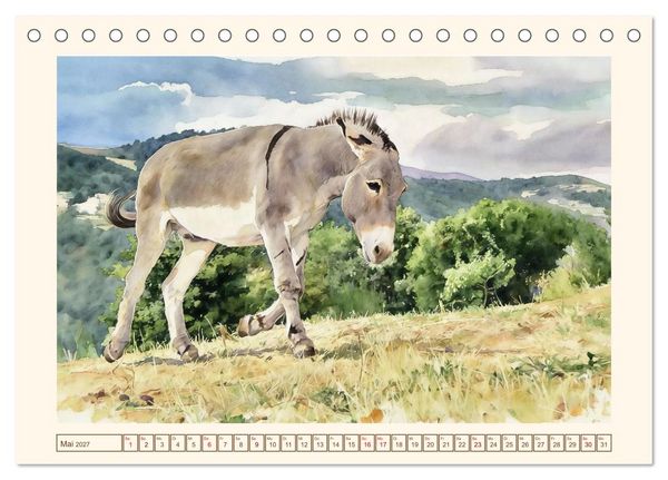 Produktbild: Esel - Treue Begleiter seit &uuml;ber 5000 Jahren (Tischkalender 2027 DIN A5 quer), CALVENDO Monatskalender