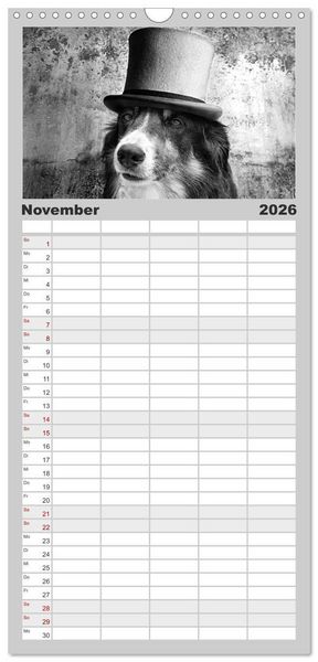 Produktbild: Familienplaner 2026 - H&uuml;tehunde mit 5 Spalten (Wandkalender, 21 x 45 cm) CALVENDO