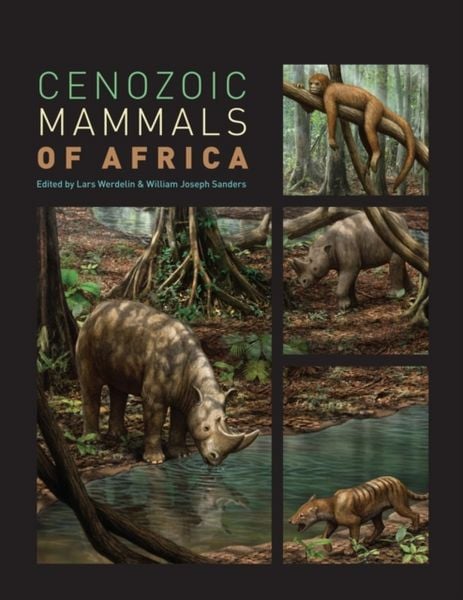 Produktbild: Cenozoic Mammals of Africa