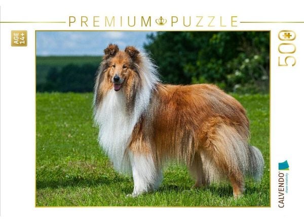 CALVENDO Puzzle Collie - Mein bester Freund | 500 Teile Lege-Größe 48 × 36 cm Foto-Puzzle für Erwachsene