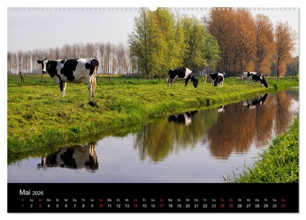 Produktbild: HOLL&Auml;NDISCHE LANDSCHAFTEN: ALBLASSERWAARD 2026 (hochwertiger Premium Wandkalender 2026 DIN A2 quer), Kunstdruck in Hochglanz