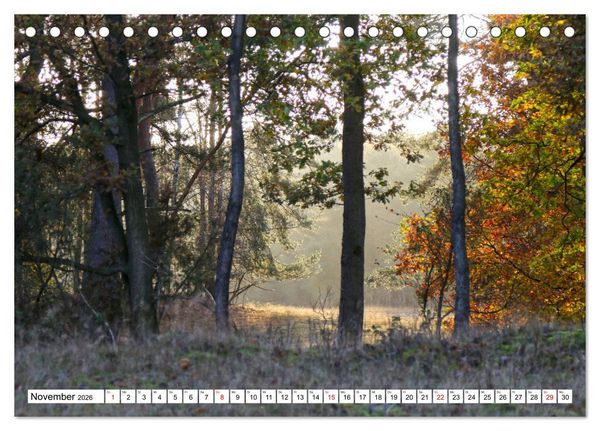 Produktbild: Lingen Ems (Tischkalender 2026 DIN A5 quer), CALVENDO Monatskalender