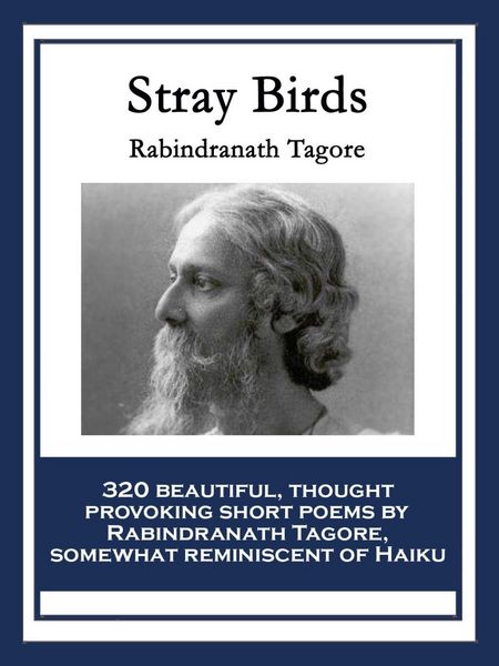 Produktbild: Stray Birds