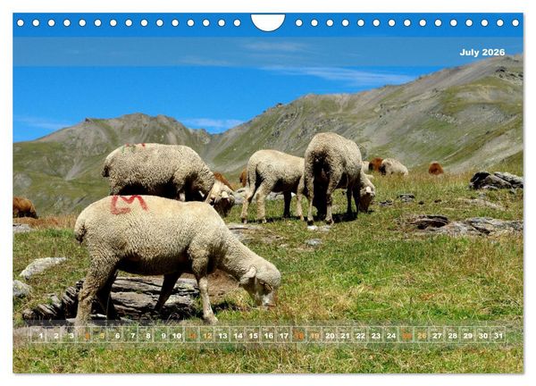 Produktbild: Natural landscape of France (Wall Calendar 2026 DIN A4 landscape), CALVENDO 12 Month Wall Calendar