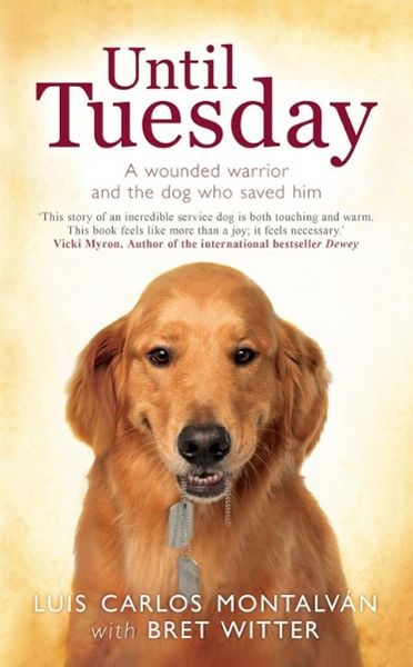 Produktbild: Until Tuesday