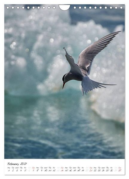 Produktbild: Iceland Calendar 2027 - Discover unique nature - UK Version (Wall Calendar 2027 DIN A4 portrait), CALVENDO 12 Month Wall Calendar