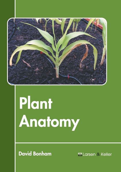 Produktbild: Plant Anatomy