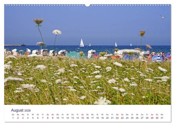 Produktbild: Radtouren ab Eckernf&ouml;rde (hochwertiger Premium Wandkalender 2026 DIN A2 quer), Kunstdruck in Hochglanz