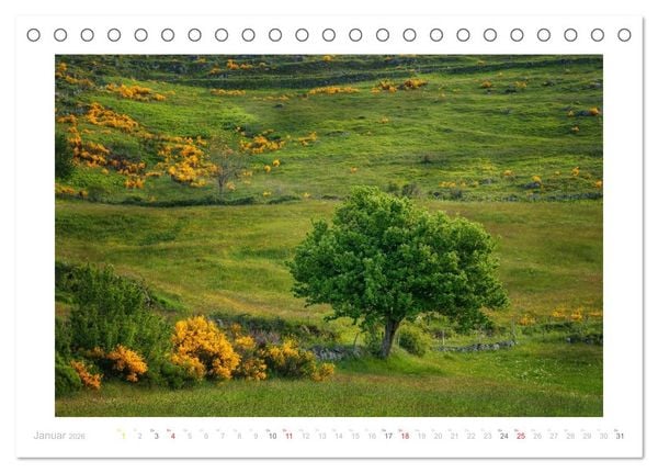 Produktbild: Streifzug durch die Provence (Tischkalender 2026 DIN A5 quer), CALVENDO Monatskalender