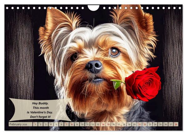 Produktbild: Great fun for Yorkshire Terrier lovers (Wall Calendar 2026 DIN A4 landscape), CALVENDO 12 Month Wall Calendar