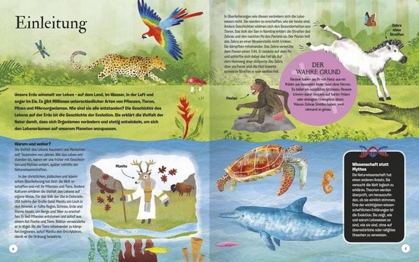 Produktbild: Die Geschichte des Lebens - Erstaunliche Evolution!