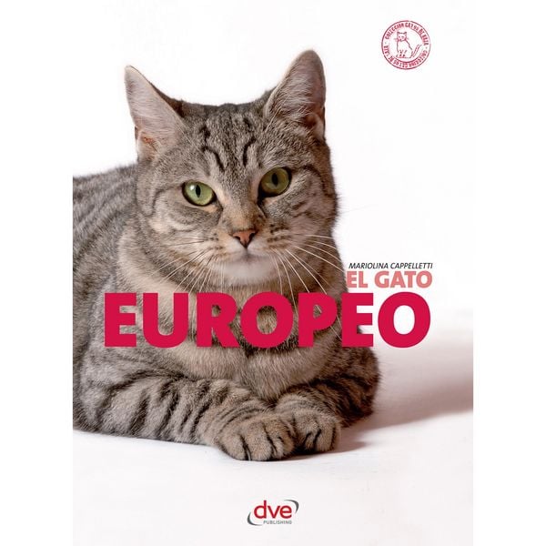 Produktbild: El gato Europeo