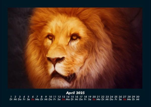 Produktbild: L&ouml;wen in der Wildnis 2025 Fotokalender DIN A4