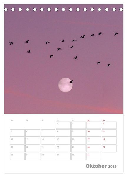 Produktbild: VOLLMOND-Planer - Im Licht der Nacht (Tischkalender 2026 DIN A5 hoch), CALVENDO Monatskalender