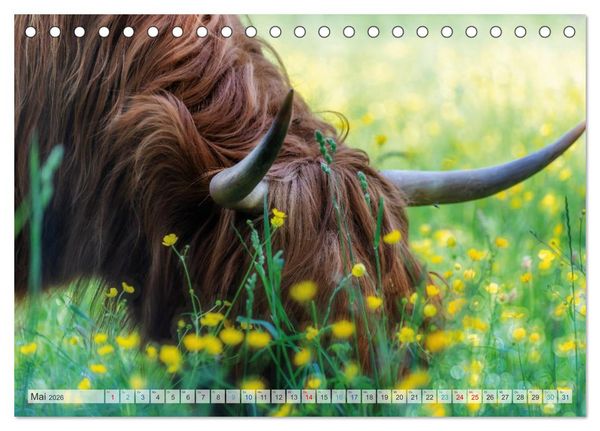 Produktbild: Mein Norderstedt (Tischkalender 2026 DIN A5 quer), CALVENDO Monatskalender