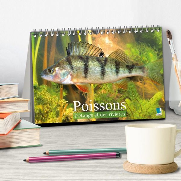 Produktbild: Poissons : d'&eacute;tangs et des rivi&egrave;res (Calendrier de bureau 2027 DIN A5 vertical), CALVENDO calendrier mensuel