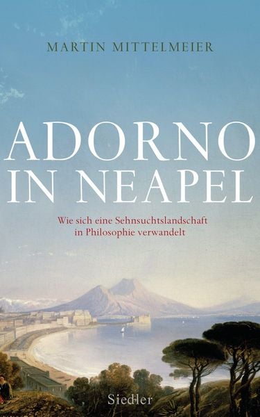 Produktbild: Adorno in Neapel