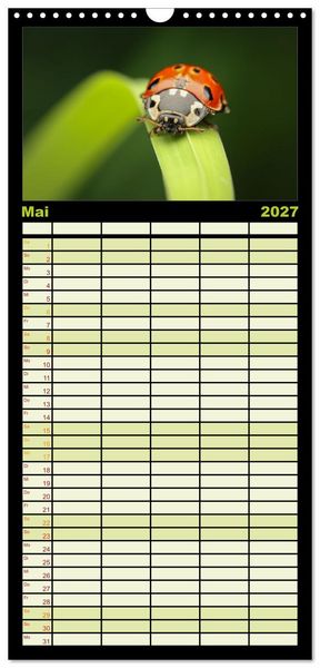 Produktbild: Familienplaner 2027 - Verborgene Wunder mit 5 Spalten (Wandkalender, 21 x 45 cm) CALVENDO