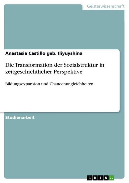 Produktbild: Die Transformation der Sozialstruktur in zeitgeschichtlicher Perspektive