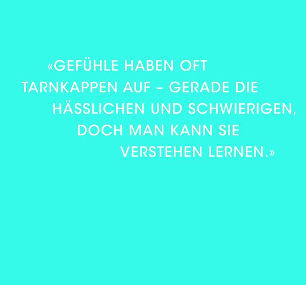 Produktbild: Ein Stern macht noch keinen Himmel
