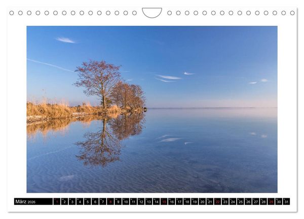 Produktbild: Die M&uuml;ritz - Naturparadies der Mecklenburgischen Seenplatte (Wandkalender 2026 DIN A4 quer), CALVENDO Monatskalender