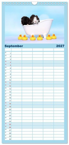 Produktbild: Familienplaner 2027 - Niedliche Meerschweinchen mit 5 Spalten (Wandkalender, 21 x 45 cm) CALVENDO