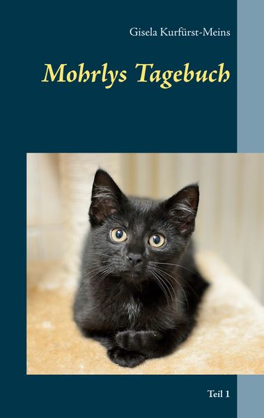 Produktbild: Mohrlys Tagebuch