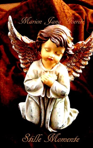 Stille Momente, Taschenbuch von Marion Jana Goeritz, BoD – Books on Demand, 9783743115866