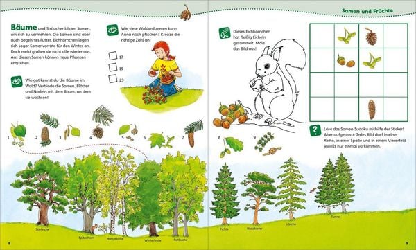 Produktbild: WAS IST WAS Junior Mitmach-Heft Wald